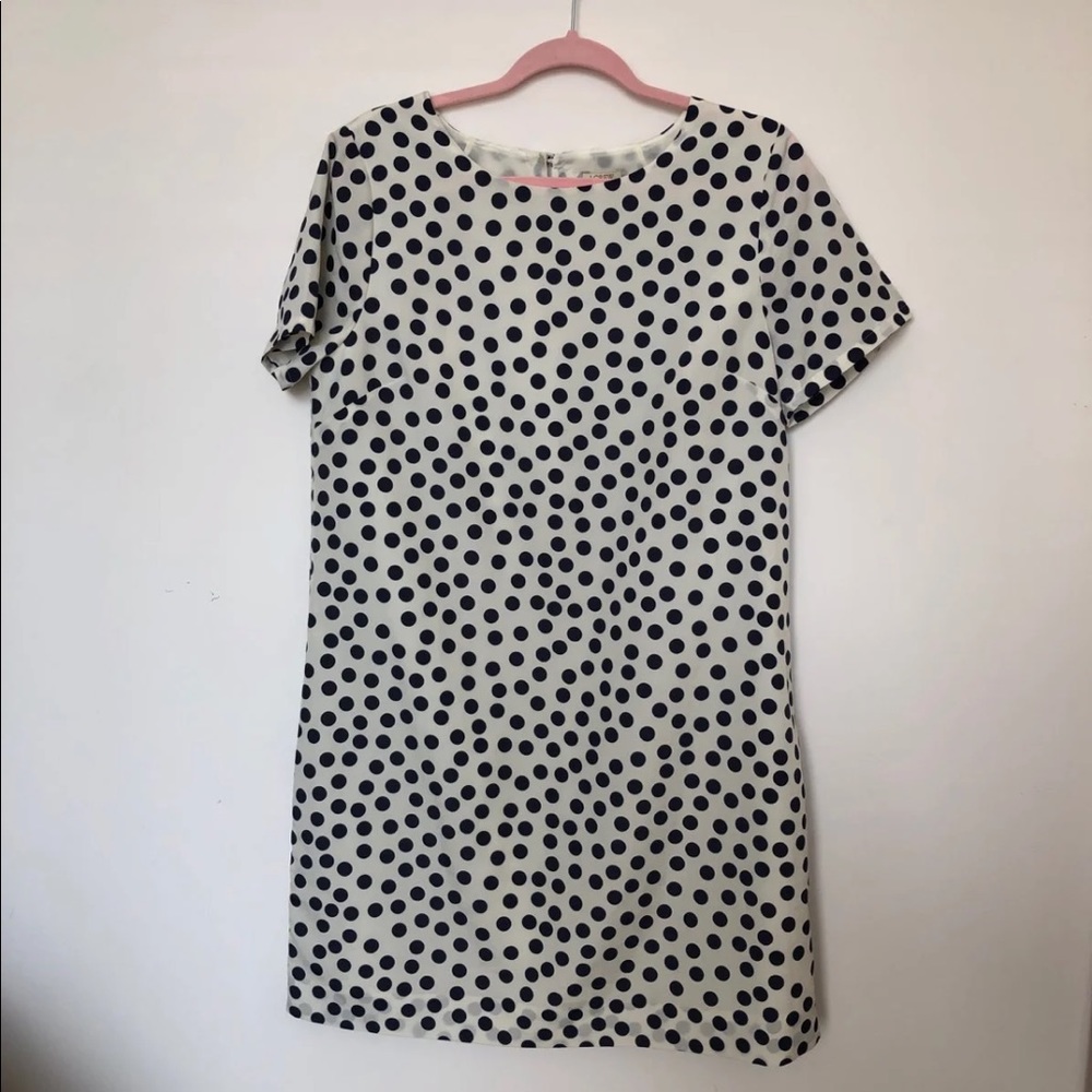Polka Dot Dress